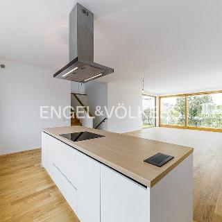 Pronájem rodinného domu 223 m² Praha, Vášové