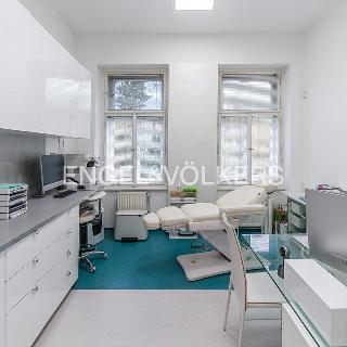 Pronájem ostatního komerčního prostoru 117 m² Praha, Karlovo náměstí