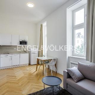 Pronájem bytu 1+kk a garsoniéry 27 m² Praha, Rašínovo nábřeží