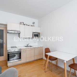 Pronájem bytu 1+kk a garsoniéry 29 m² Praha, Plzeňská