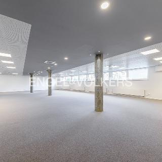 Pronájem kanceláře 351 m² Praha, Holečkova