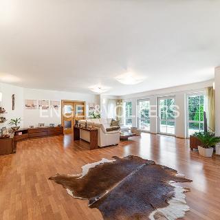 Pronájem rodinného domu 360 m² Praha, Severýnova