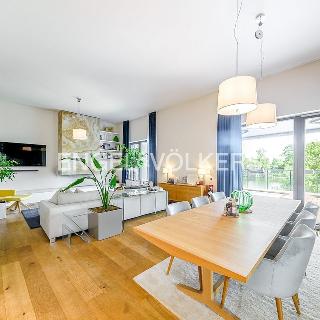 Pronájem bytu 5+1 a více 267 m² Praha, Sanderova