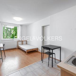 Pronájem bytu 2+kk 30 m² Praha, Nad Palatou