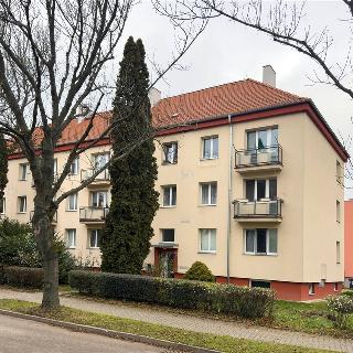 Pronájem bytu 2+1 51 m² Praha, Luštěnická