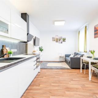 Pronájem bytu 1+kk a garsoniéry 31 m² Praha Jinonice, Barvitiova
