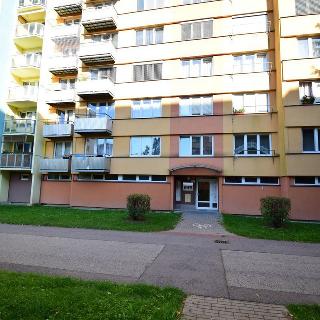 Pronájem bytu 2+kk 37 m² České Budějovice, Bezdrevská