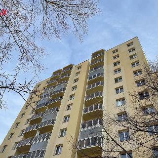 Prodej bytu 2+kk 40 m² České Budějovice, Labská