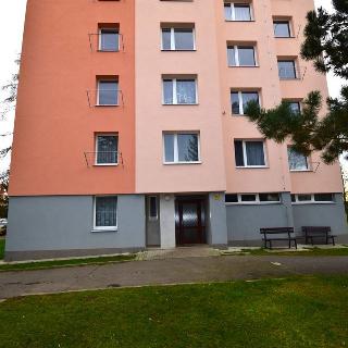 Pronájem bytu 1+kk a garsoniéry 26 m² Písek, třída Přátelství