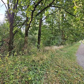 Prodej zahrady 2997 m&sup2; Roudné