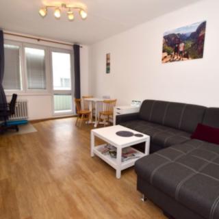 Pronájem bytu 1+1 46 m² České Budějovice