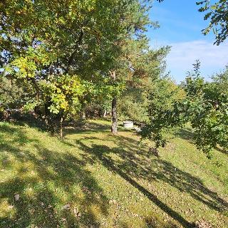 Prodej stavební parcely 8 259 m² Kožlí, 