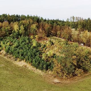 Prodej lesa 9 437 m² Kostelec nad Vltavou