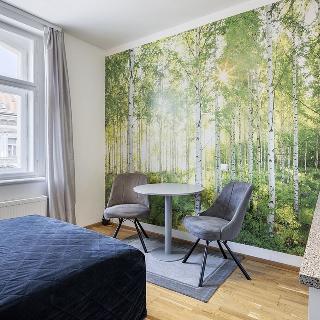 Pronájem bytu 1+kk a garsoniéry 21 m² Praha, Tyršova