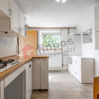 Prodej chalupy 113 m² Pašinka, 