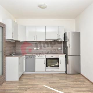 Pronájem bytu 2+kk 63 m² Praha, V háji