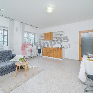 Pronájem bytu 2+kk 53 m² Hranice, Přátelství