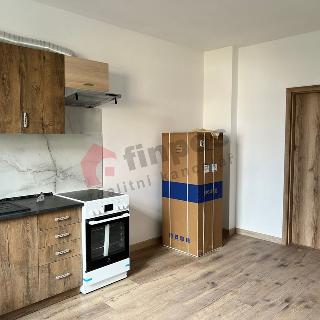 Pronájem bytu 1+kk a garsoniéry 39 m² Benešov, Na Chmelnici