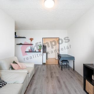 Prodej bytu 2+kk 44 m² Praha, Hněvkovského