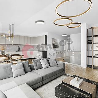 Prodej bytu 3+kk 62 m&sup2; Sokolnice
