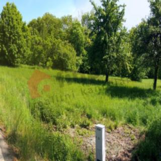 Prodej stavební parcely 4 941 m² Stvolínky Kolné