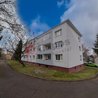 Prodej bytu 2+1 50 m² Bezno, Zámecká