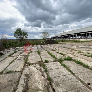 Prodej komerčního pozemku 4 656 m² Lukavec, Čechtická