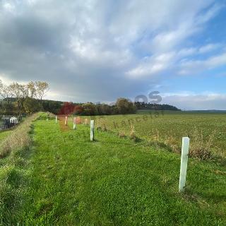 Prodej zemědělské půdy 1 000 m² Vlašim, 