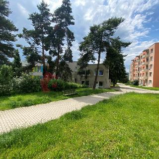 Prodej bytu 1+1 40 m² Písek, třída Přátelství