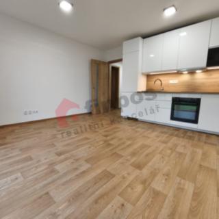 Pronájem bytu 1+kk a garsoniéry 29 m² Ždánice, Kaštýlek