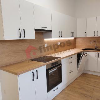 Pronájem bytu 1+kk a garsoniéry 29 m² Ostrava, Palackého