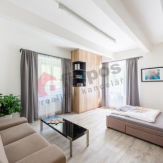 Prodej bytu 1+kk a garsoniéry 34 m² Praha Vinohrady, Kouřimská