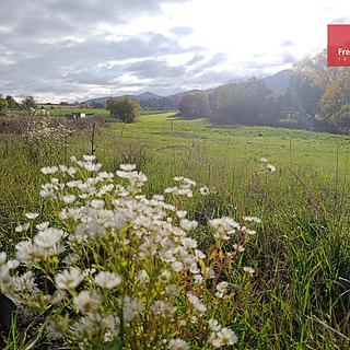 Prodej stavební parcely 2100 m&sup2; Bžany