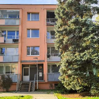 Prodej bytu 2+1 46 m² Teplice, Gagarinova