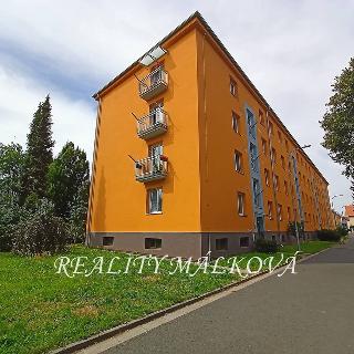 Prodej bytu 3+1 75 m² Pardubice, Svobody