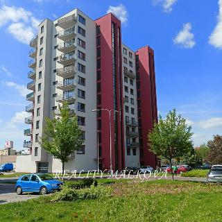 Pronájem bytu 2+kk 70 m² Pardubice, Pod Vinicí