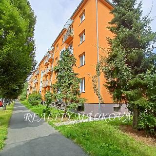 Prodej bytu 2+1 75 m² Pardubice, Svobody