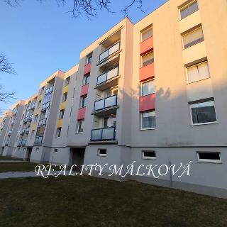 Prodej bytu 1+1 42 m² Pardubice, U Josefa