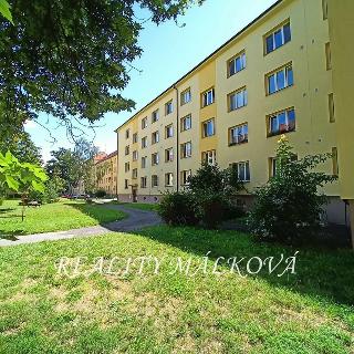 Prodej bytu 2+1 65 m² Pardubice, Benešovo náměstí