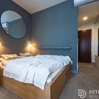 Prodej bytu 1+kk a garsoniéry 27 m² Praha, Opletalova