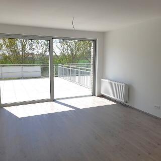 Prodej bytu 3+kk 191 m² Pardubice, U Sportovní školy