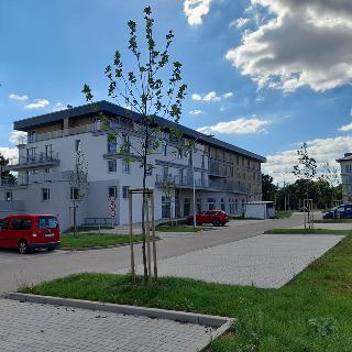 Prodej bytu 3+kk 191 m² Pardubice, 