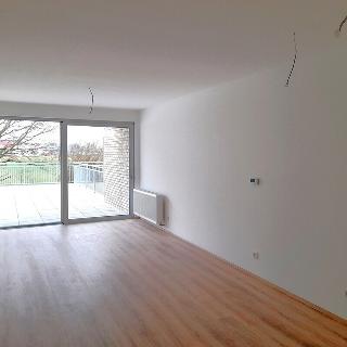 Prodej bytu 3+kk 198 m² Pardubice, U Sportovní školy