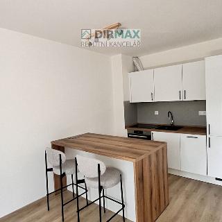 Pronájem bytu 1+kk a garsoniéry 40 m² Plzeň, Heyrovského