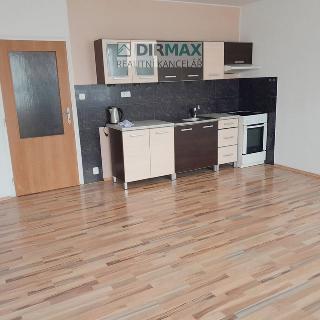 Pronájem bytu 1+kk a garsoniéry 32 m² Plzeň, Rabštejnská