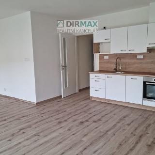 Pronájem bytu 1+kk a garsoniéry 57 m² Plzeň, Resslova