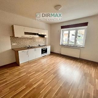 Pronájem bytu 2+1 60 m² Plzeň, Příkrá