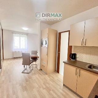 Pronájem bytu 1+kk a garsoniéry 36 m² Plzeň, Malická