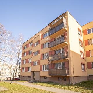 Prodej bytu 4+kk 60 m² Ostrava, Břustkova