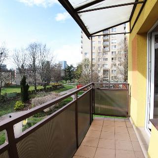 Prodej bytu 3+1 68 m² Ostrava, Gen. Janka